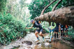 BIB: 
                            <button type="button" onclick="openModal(25375029)" class="btn btn-primary btn-sm float-right btn-popup" data-toggle="modal" data-target=".modal-high-quality">
                        <i class="fas fa-shopping-cart"></i> Add to Cart
                    </button>
                                            <button type="button" onclick="isThisMe(25375029, true)" class="btn btn-success btn-sm float-right btn-popup btn-isme hidden" data-toggle="tooltip" data-placement="bottom" title="นี่คือรูปของคุณใช่ไหม คลิกที่นี่เพื่อเอาเข้าอัลบั้ม">
                        <i class="fas fa-plus"></i> Add to album
                    </button>
                    <button type="button" onclick="isThisMe(25375029, false)" class="btn btn-warning btn-sm float-right btn-popup btn-isnotme hidden">
                        <i class="fas fa-ban"></i> Remove from album
                    </button>